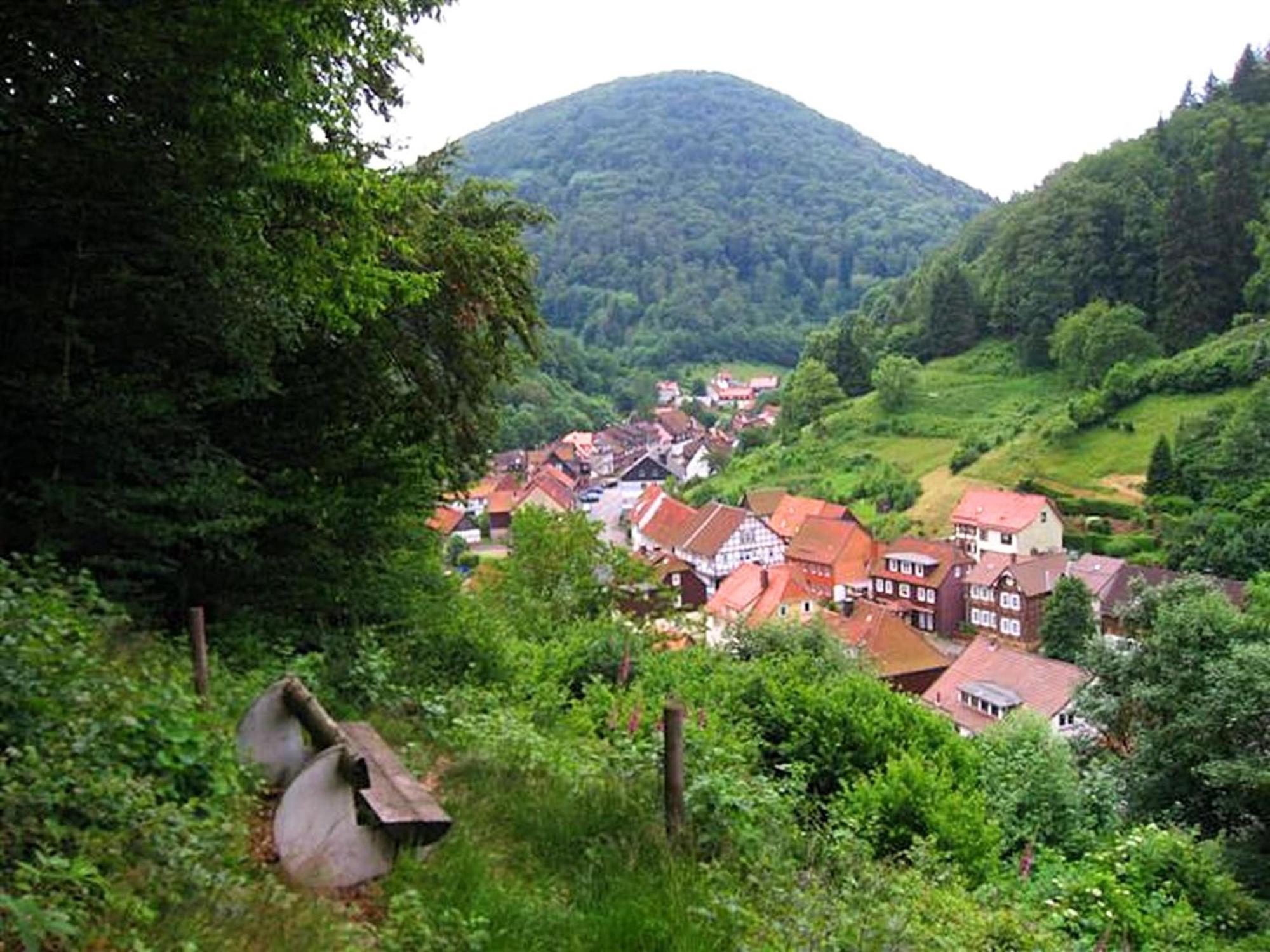 Spacious Group House In The Harz Region Zorge Εξωτερικό φωτογραφία