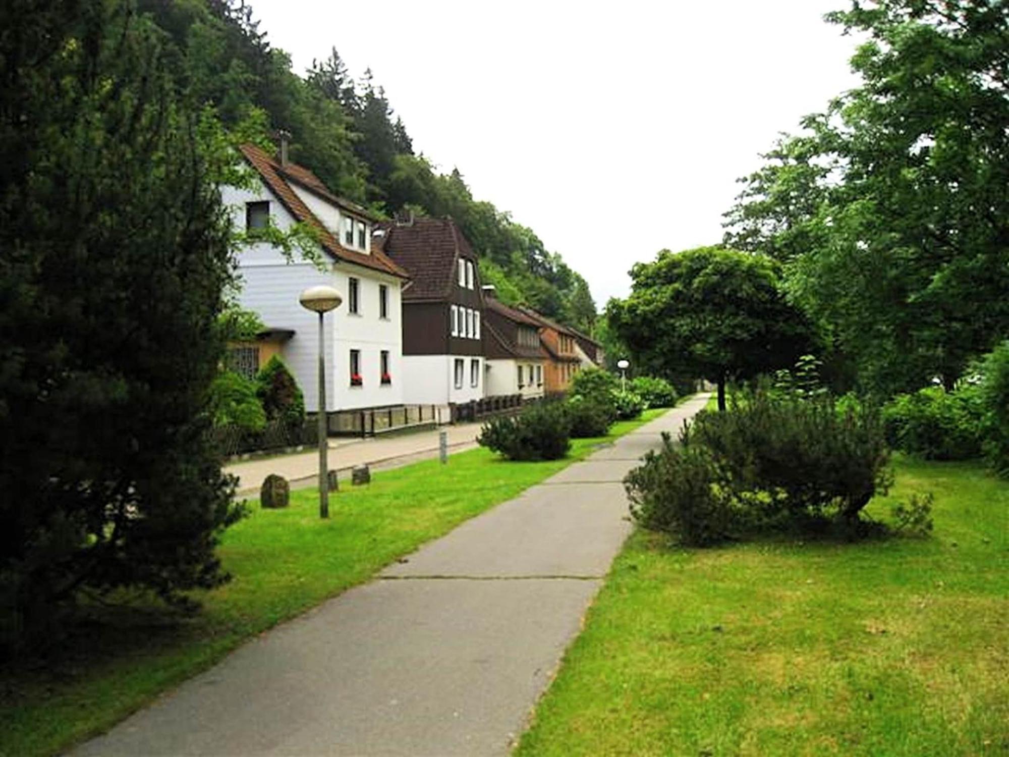 Spacious Group House In The Harz Region Zorge Εξωτερικό φωτογραφία