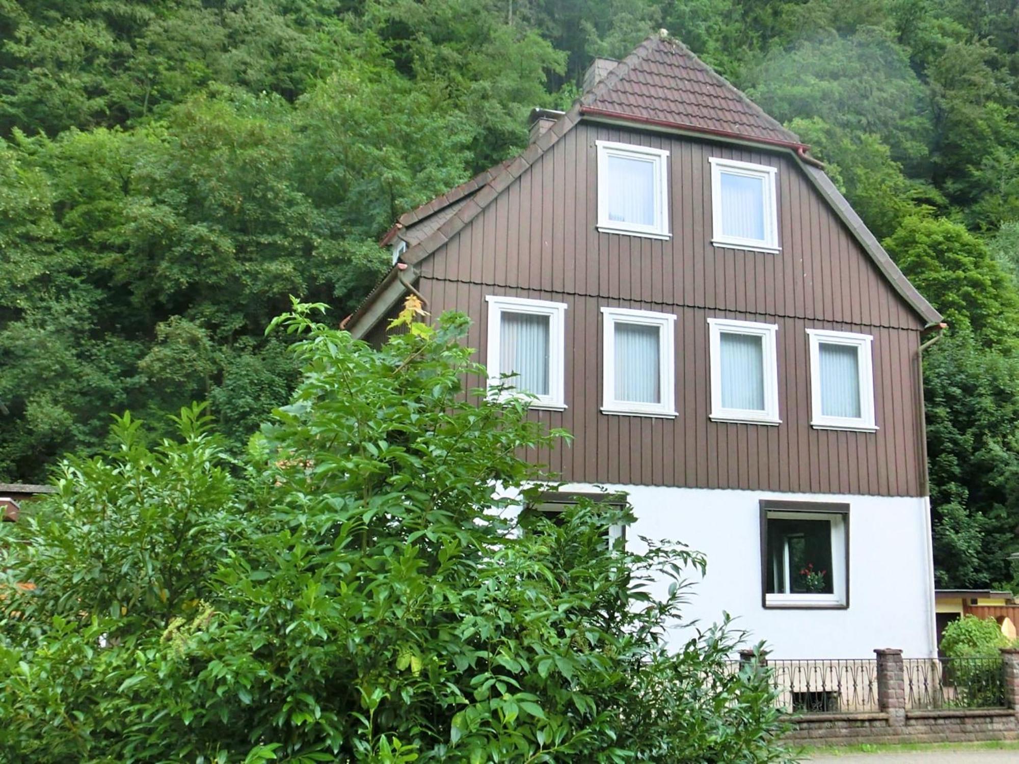 Spacious Group House In The Harz Region Zorge Εξωτερικό φωτογραφία